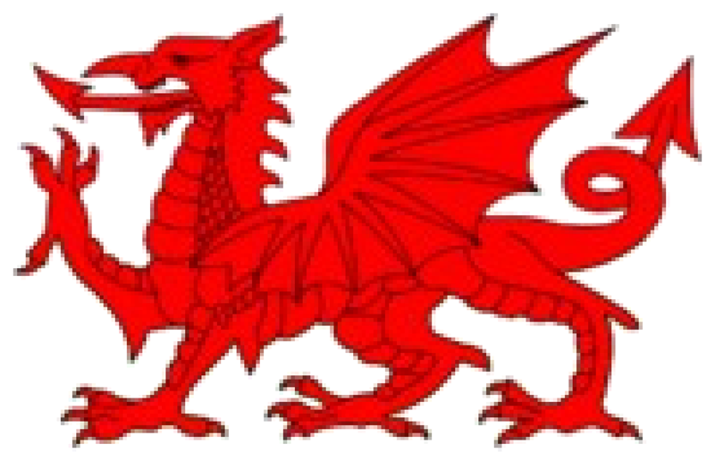 WNCLGA red dragon